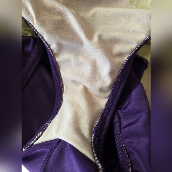 Gorgeous Vintage Roxanne Bra-sized 38D Bathing Suit EUC - Picture 3 of 4